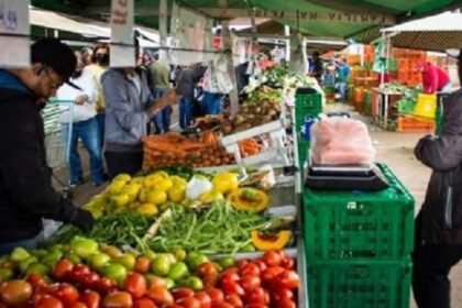Consumidores em feira de hortifruti