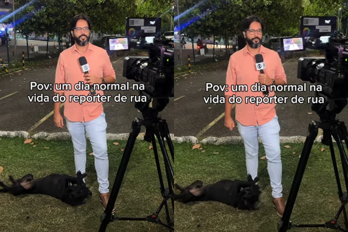 cachorro invade entrada ao vivo e reencontra a tutora apos um mes
