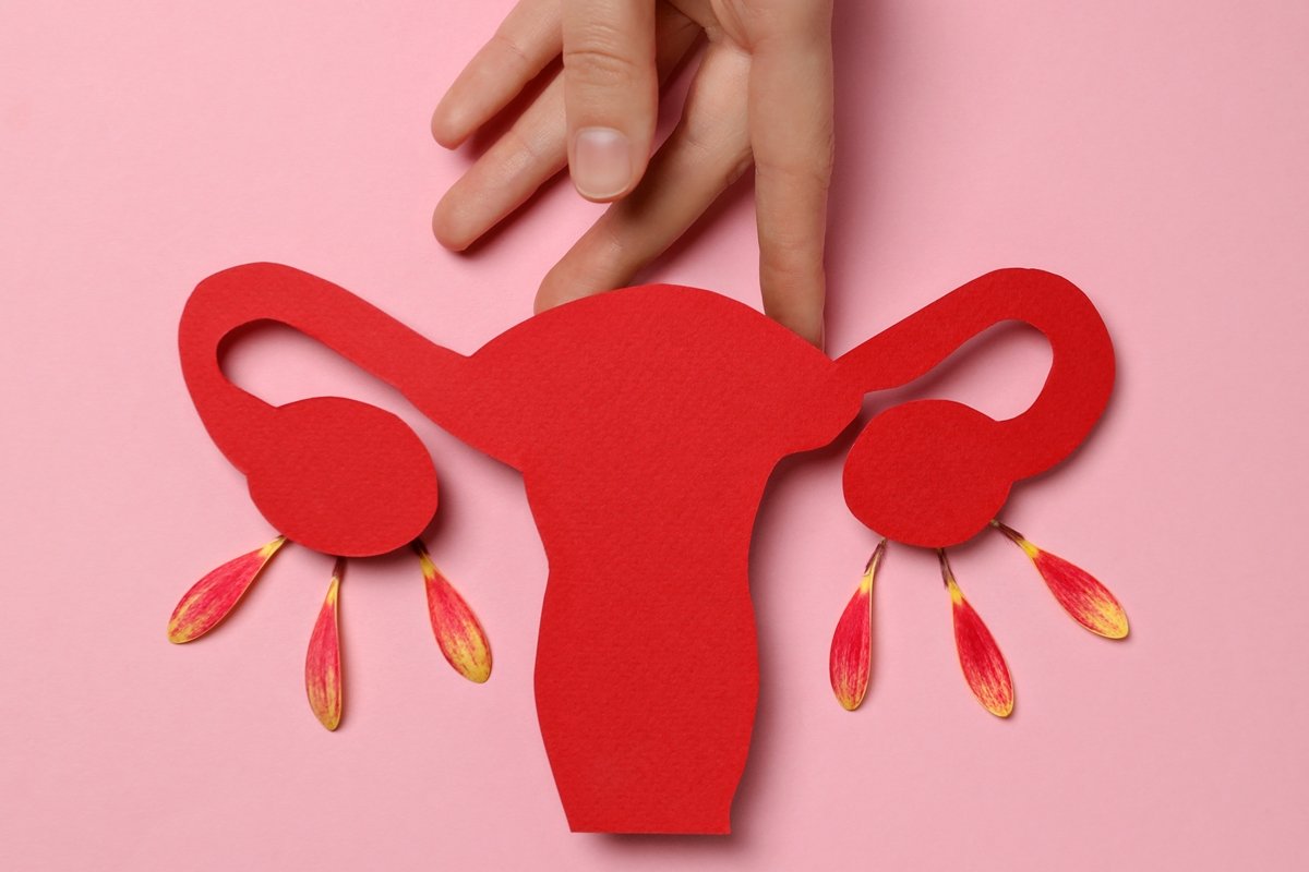 estudo da usp testa reposicao hormonal seletiva para a menopausa