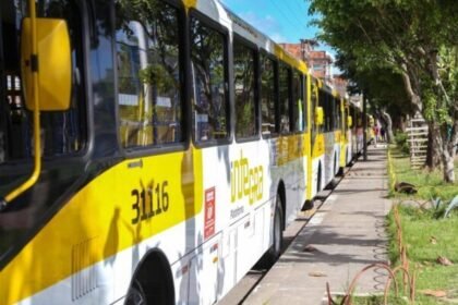 onibus