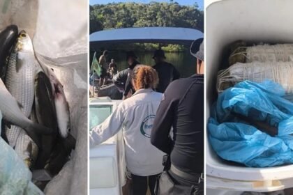 Material apreendido em ação contra pesca com explosivos