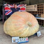 Homem segura bandeira do Reino Unido atrás de abóbora gigante