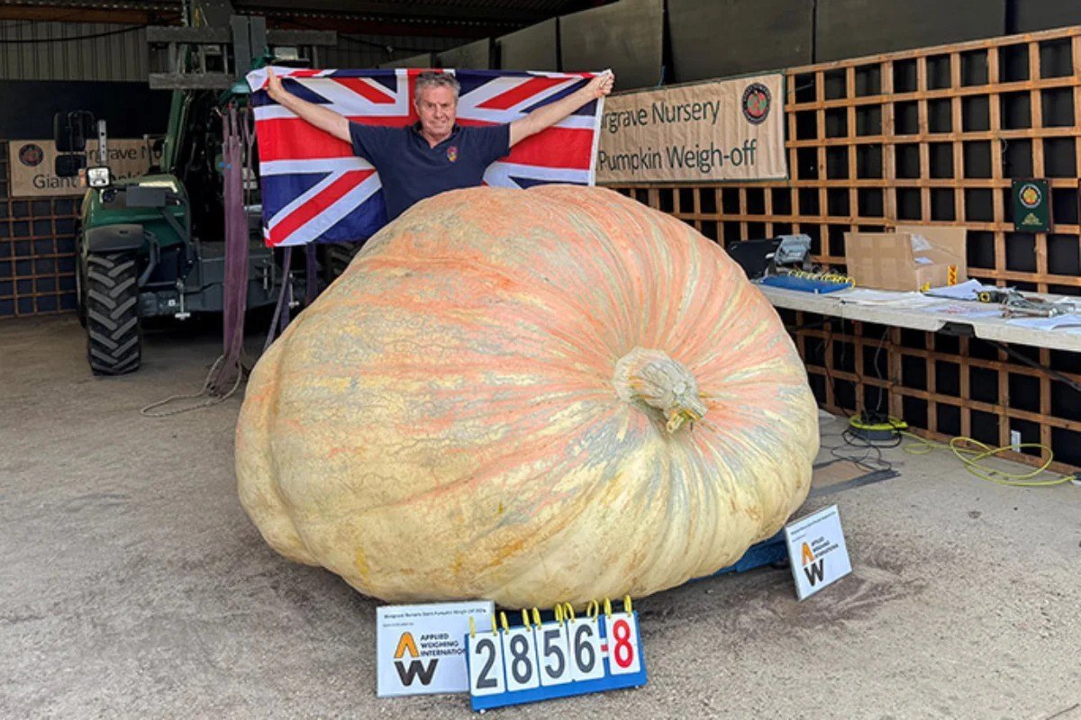 Homem segura bandeira do Reino Unido atrás de abóbora gigante