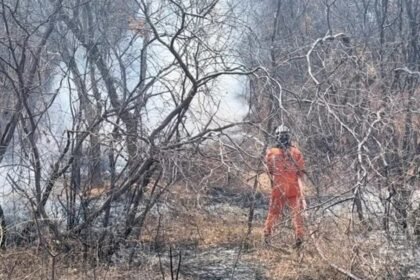 Bombeiro combate fogo em área de vegetação seca