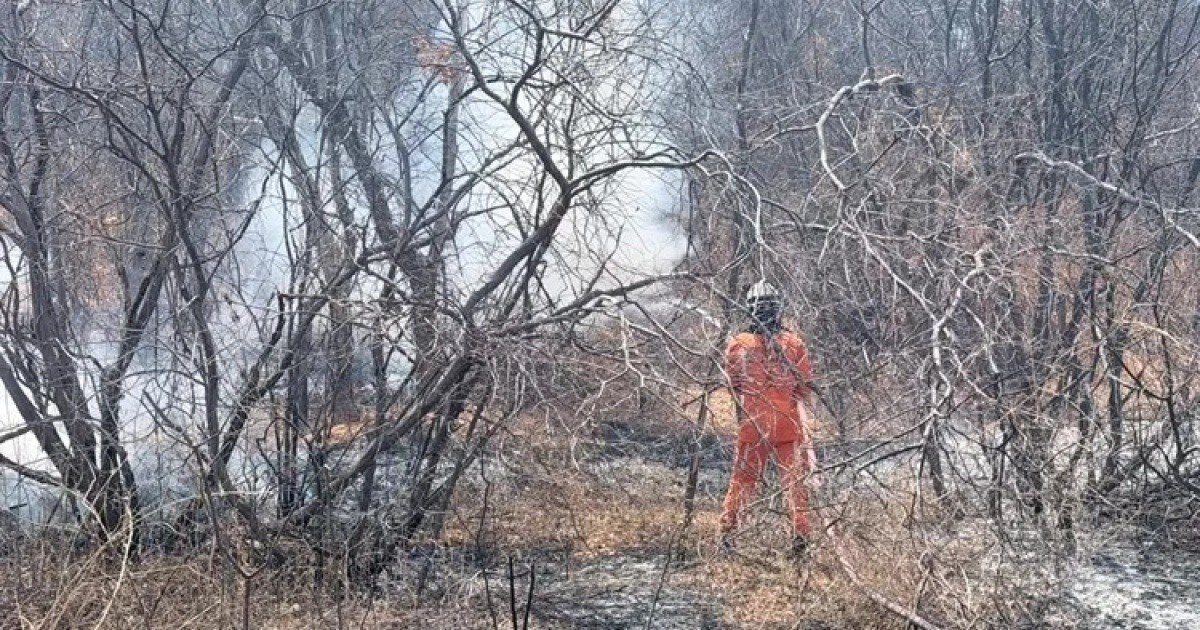 Bombeiro combate fogo em área de vegetação seca
