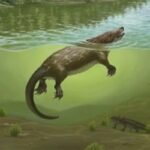 Ilustração de pequeno animal pré-histórico semelhante a mamífero