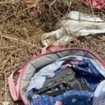 Mochila em que a arma foi encontrada, em Poções