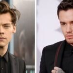 Harry Styles e Liam Payne