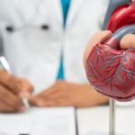 Médico com modelo de coração humano