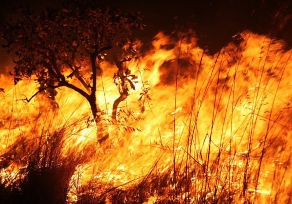 Chamas em área de vegetação seca
