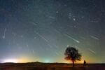 Céu estrelado com rastros de meteoros sobre uma árvore