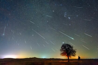 Céu estrelado com rastros de meteoros sobre uma árvore