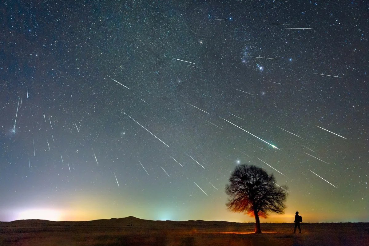 Céu estrelado com rastros de meteoros sobre uma árvore